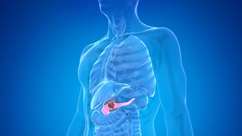 diabetes-and-metabolic-disease-reagents-512x288