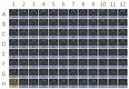 Direct cell counts in plate format