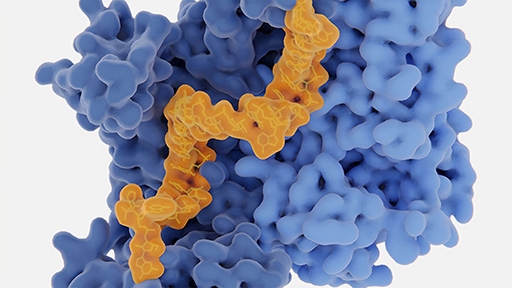 discovery solutions 512x288