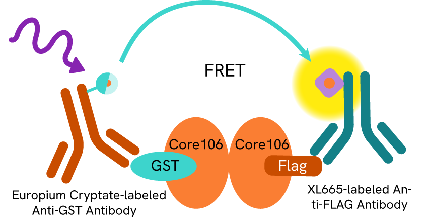 disrupting-ppi-viral-life-cycle-blog-image4.png