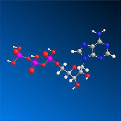 dna-and-rna-labeling-fig2