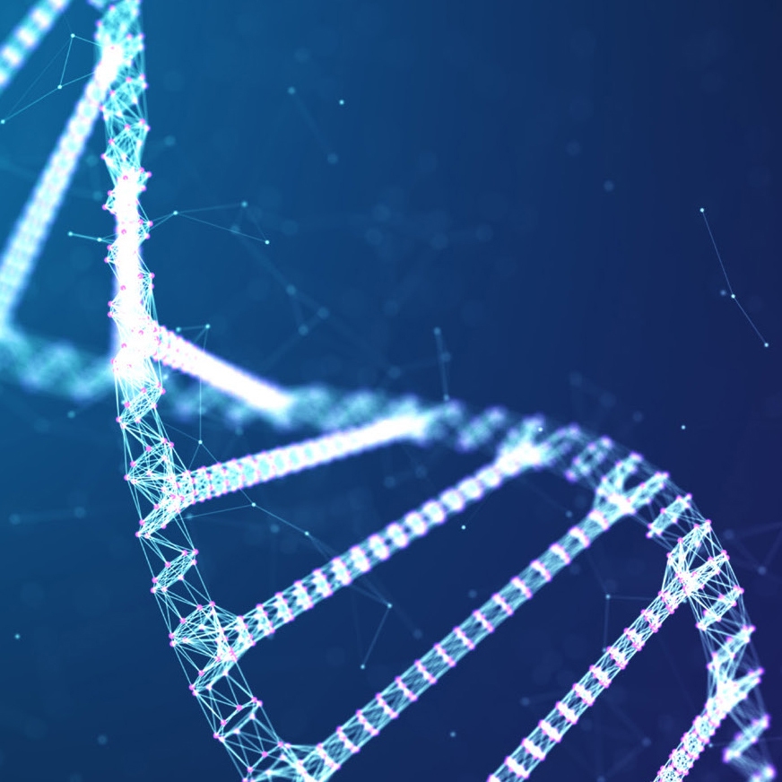 DNA Library Preparation Kits