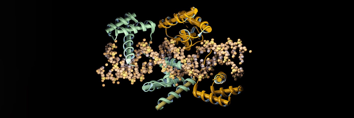 dna-protein1920