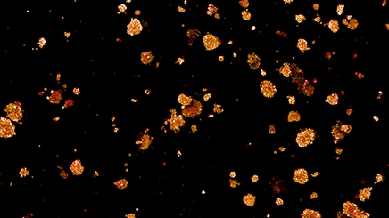 embedded-spheroids512