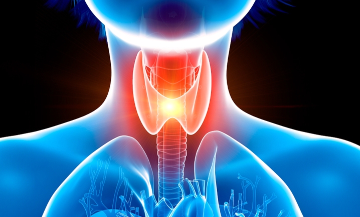 Endocry Endocrine Disease Diagnostic Solutions | Revvity