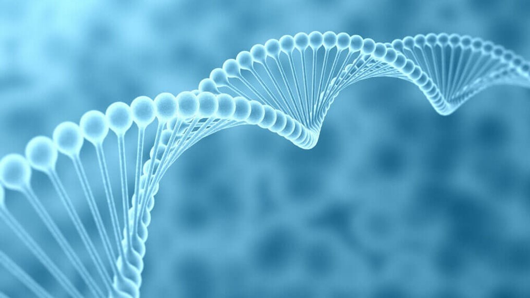 DNA extraction