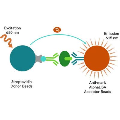 AlphaLISA Cellular Detection Kit