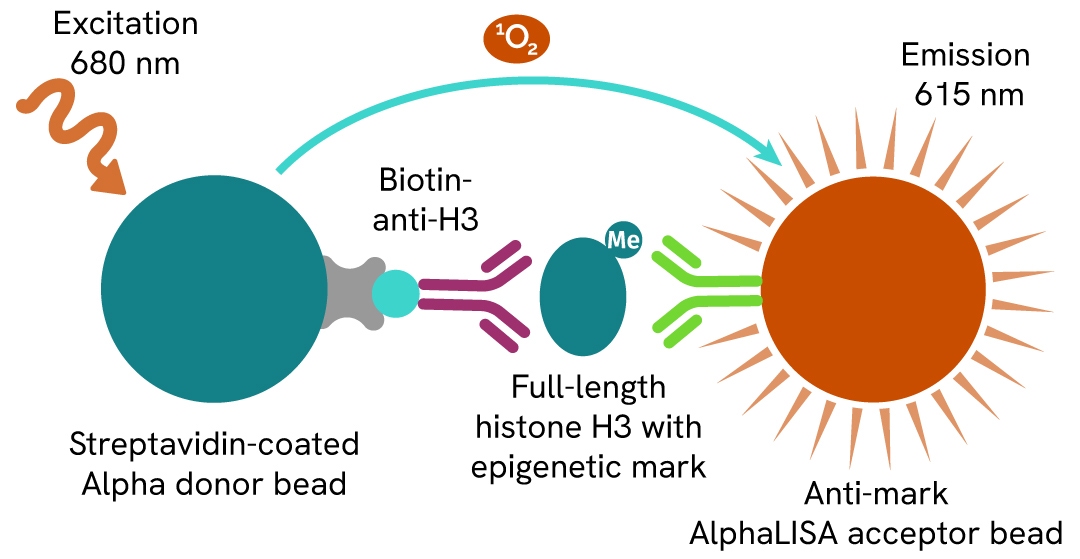 epigenetic toolbox fig2