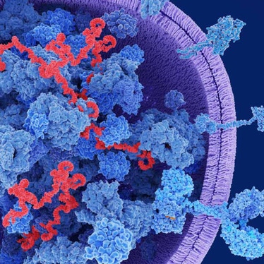 Exosome cfRNA Analysis