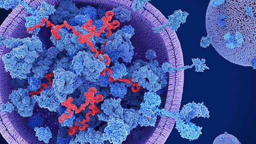 Exosome cfRNA Analysis