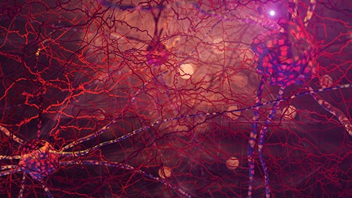 exploring-mechanisms512