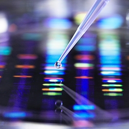 FGS for target validation