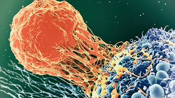 fibrosis-research-512x288