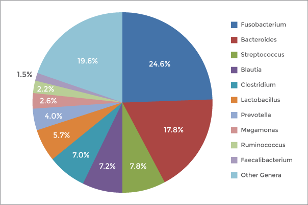 fig-1 genera diversity measured by 16s v4 sequencing