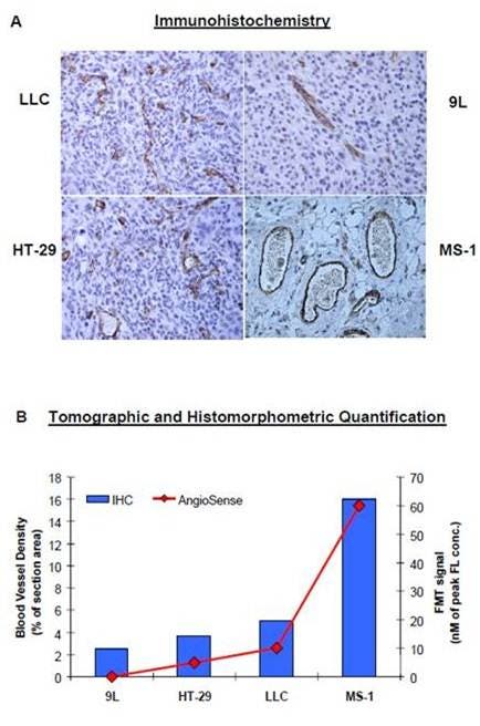 fig-3.jpg