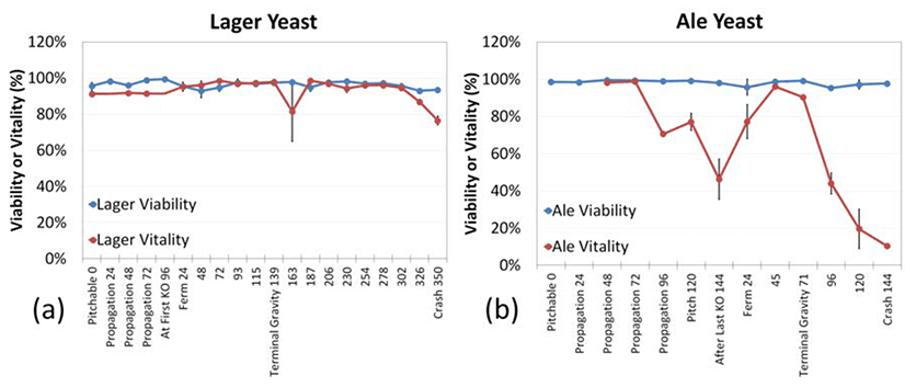 fig 6a 6b vitality time course lager ale fermentation