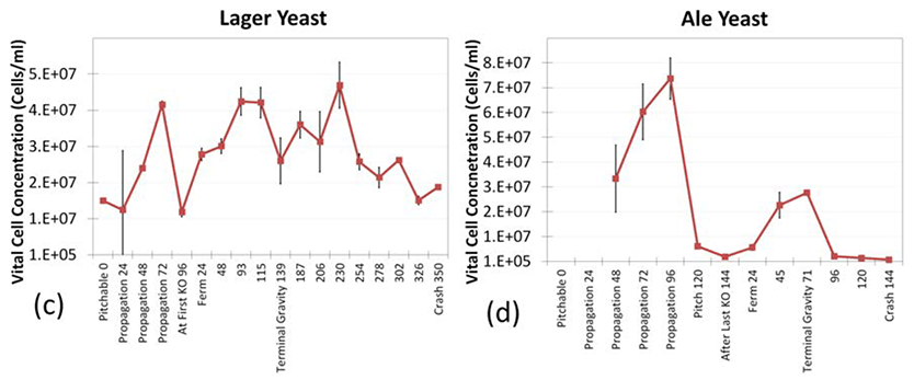 fig 6c 6d vitality time course lager ale fermentation