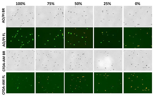 fig4a yeast aopi and cfda am pi samples