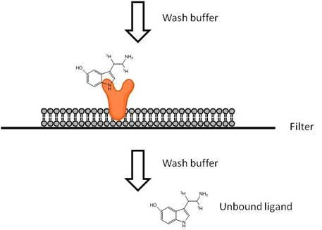 filter-plate-ligand-binding-assays-fig1