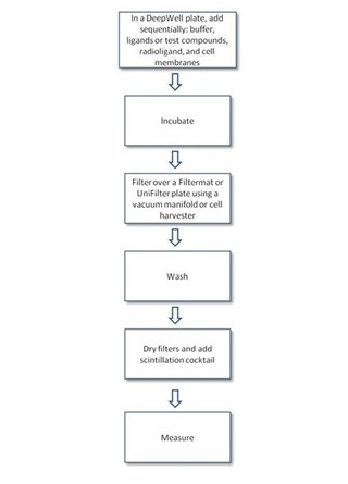 filter-plate-ligand-binding-assays-fig2