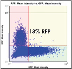 GFP vs. RFP Scatter Plot 13