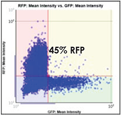 GFP vs. RFP Scatter Plot