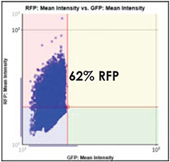 GFP vs. RFP Scatter Plot