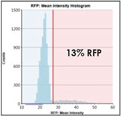 RFP Intensity Histogram 13