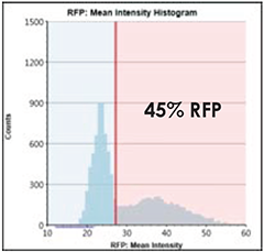 RFP Intensity Histogram