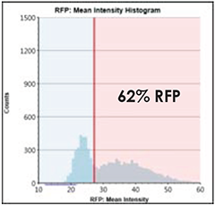 RFP Intensity Histogram