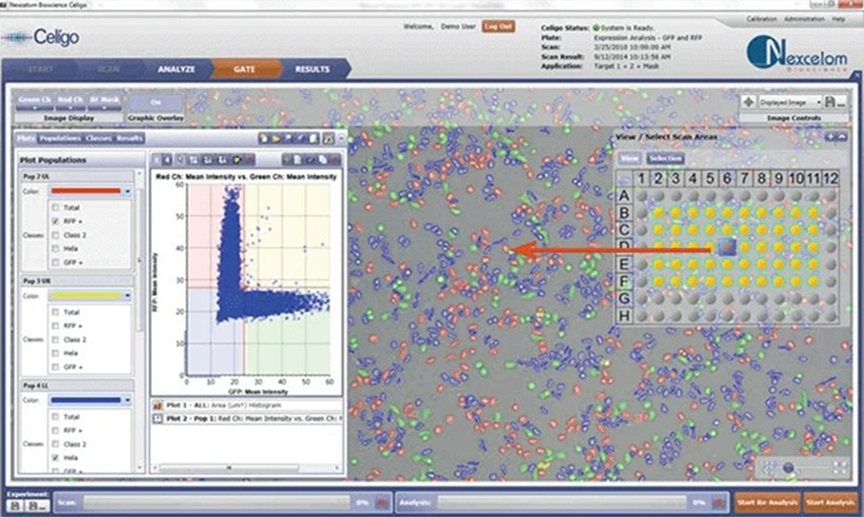 Celigo gating and segmentation interface