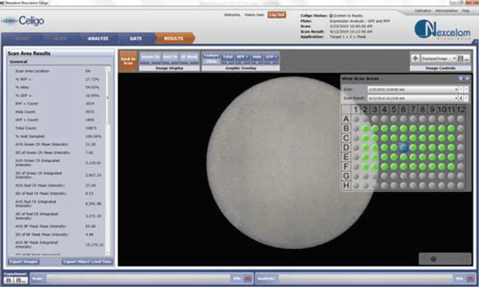 Whole-well cell images