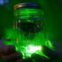 ATPlite 1 glow