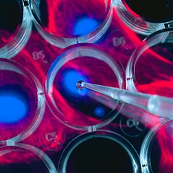 functional-assay-add-ons-252x252