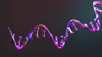 future-of-mrna-therapeutics-512x288