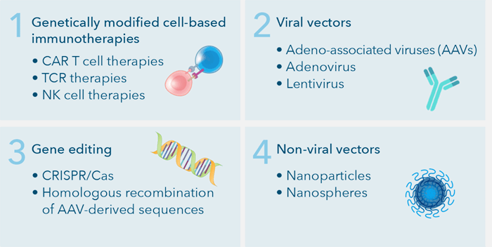 gene therapy - 4 main types