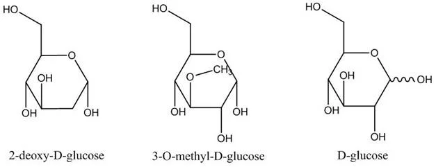 glucose-uptake-assays-fig1