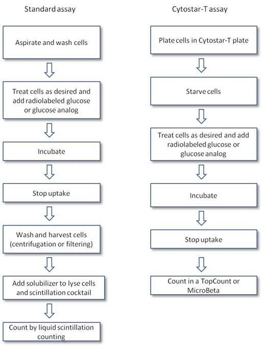 glucose-uptake-assays-fig2