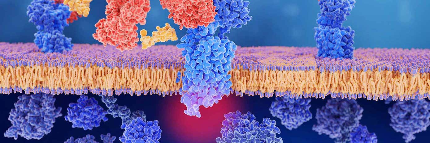 gpcr-drug1920x640