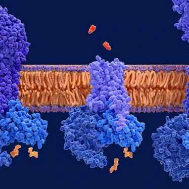 GPCR Research Reagents