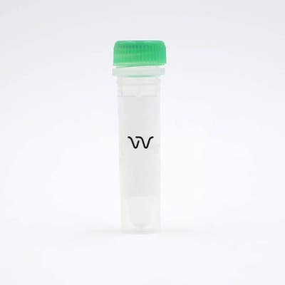 Revvity Vial from a Kit, Standard or Control lysate