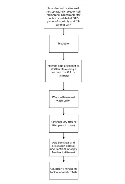 gtp-filterplate-assay-fig2