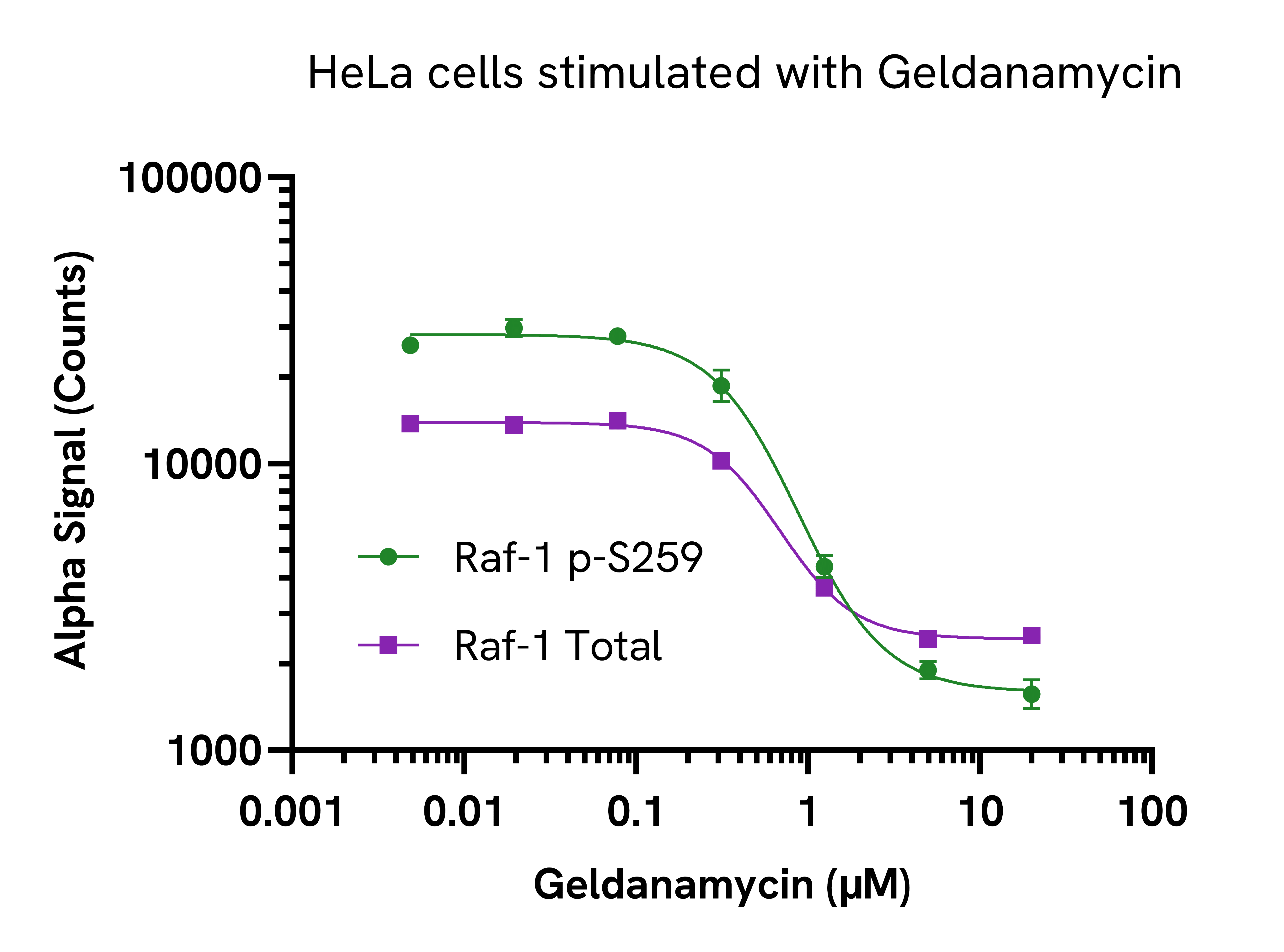 Inhibition of Phospho Raf-1 (Ser259)