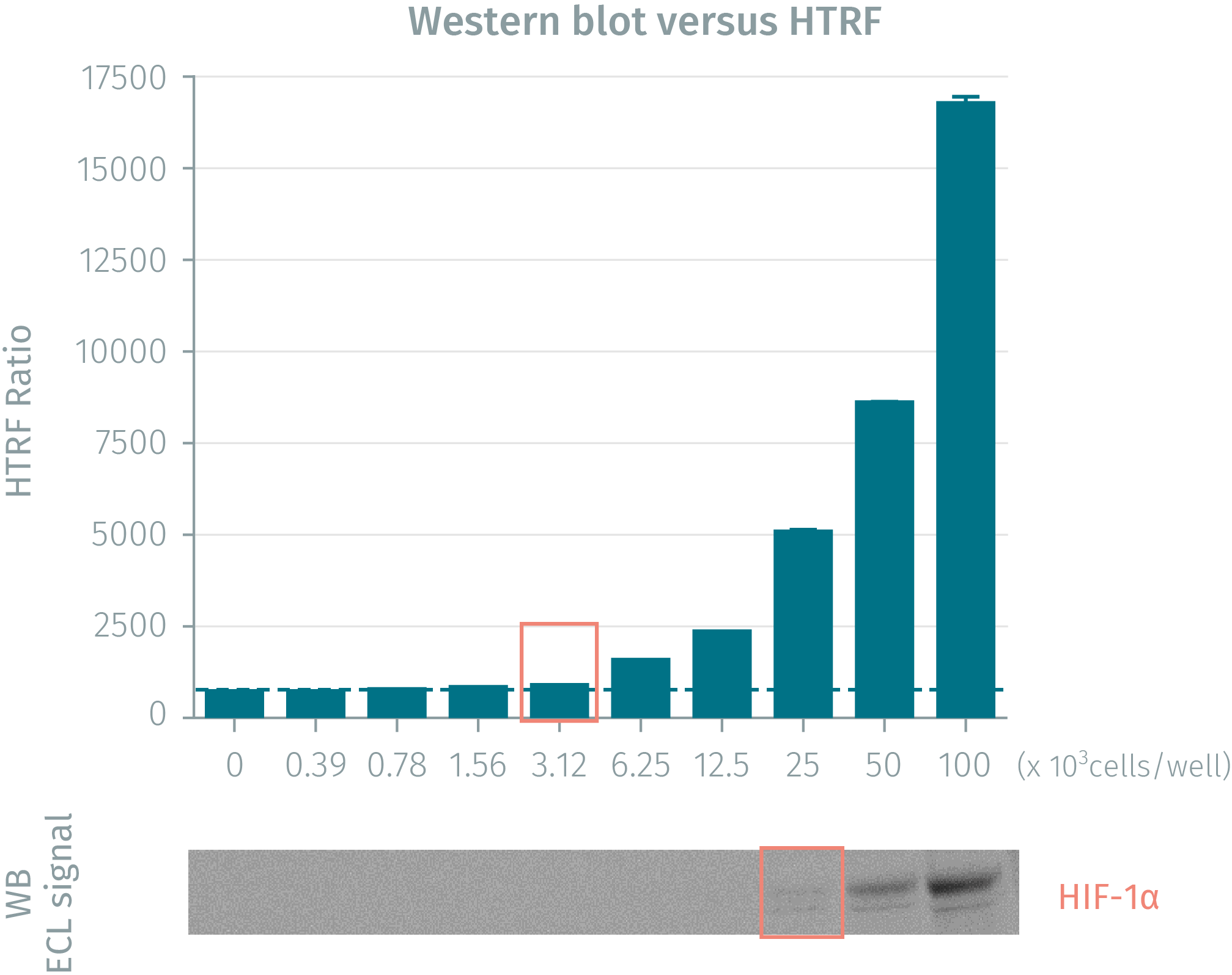 hif-1-alpha-cellular-kit