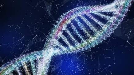 Dna Quantification Visualised DNA Quantification Using the VICTOR Nivo and Micro-Volume Plates | Revvity