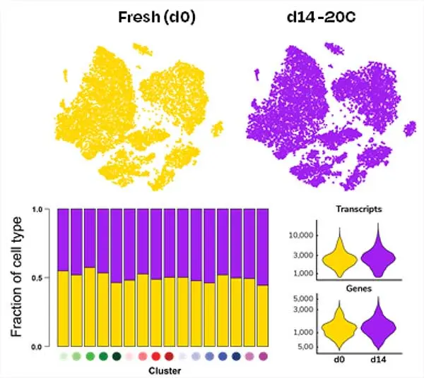 hive-fig1.jpg