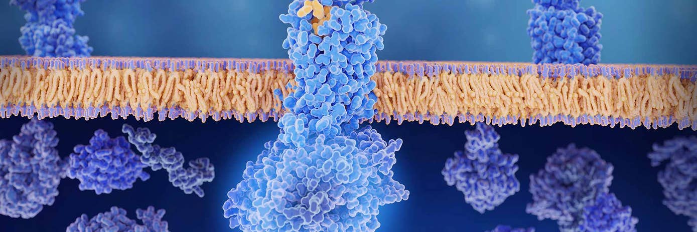 Monitoring Gq coupled GPCR with IP-One