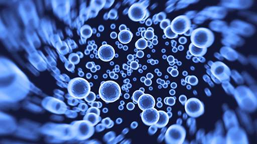 how-to-transfer-from-animal-derived-matrices-to-growdex-512x288