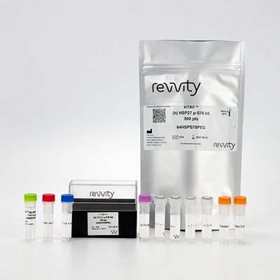 Picture of HTRF HSP27 phospho-S78 kit