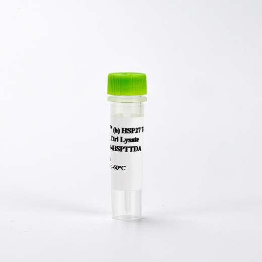 Picture of HTRF HSP27 total control